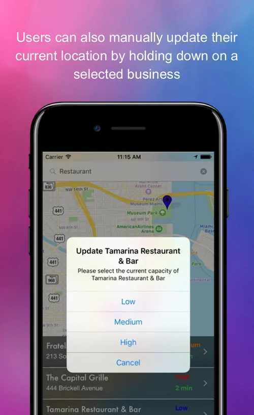 Opacity business detail